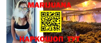 гашик Славгород