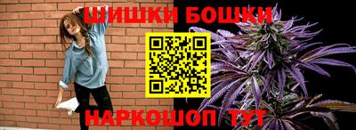 гашик Славгород