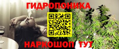гашик Славгород