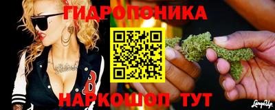 гашик Славгород